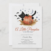 Eine kleine Pumpkin Fall Baby Dusche Einladung (Vorderseite)