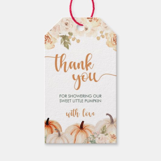 Eine kleine Pumpkin Herbst Babydusche Geschenkanhänger (Vorderseite)