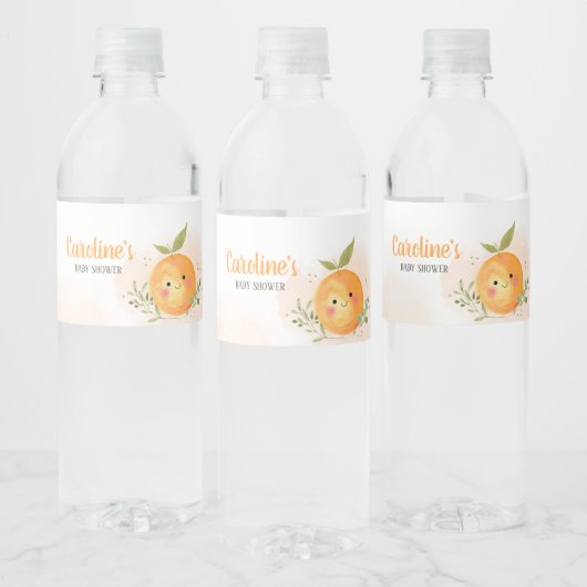 Eine kleine Süsse Citrus Orange Babydusche Wasserflaschenetikett (Flaschen)