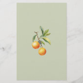 Eine kleine Süsse ist auf dem Weg zur Baby Advice (Rückseite)