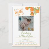 Eine kleine Süsse ist hier die Geburtserklärung Ankündigung (Vorderseite)