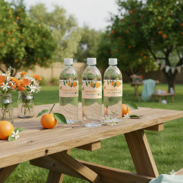 Eine kleine Süsse Orange Babydusche Wasserflaschenetikett