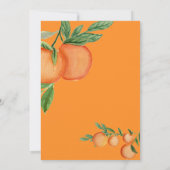 Eine kleine Süsse Orange Frame Citrus Baby Dusche Einladung (Rückseite)