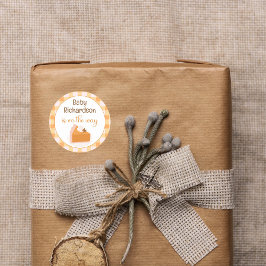 Eine kleine Süsse Pie Gingham Fall Baby Dusche Runder Aufkleber