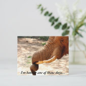 Eine kleine verwirbelte Postkarte (Stehend Vorderseite)