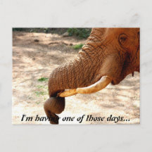 Eine kleine verwirbelte Postkarte