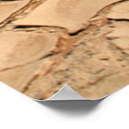 Eine knackte Wüste schlicht Poster (Ecke)