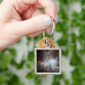 Eine Kolonie heißer junger Sterne im Orionnebel Schlüsselanhänger (Hand)