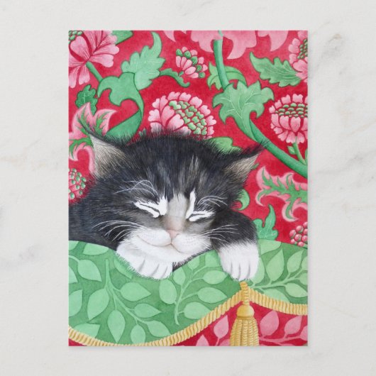 Eine komische Katze! Postkarte (Vorderseite)