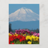 eine komprimierte Sicht auf den Berg Hood, Oregon  Postkarte (Vorderseite)