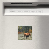 Eine Kuh und ihr Kalb.... Magnet (In Situ (Geschirrspüler))