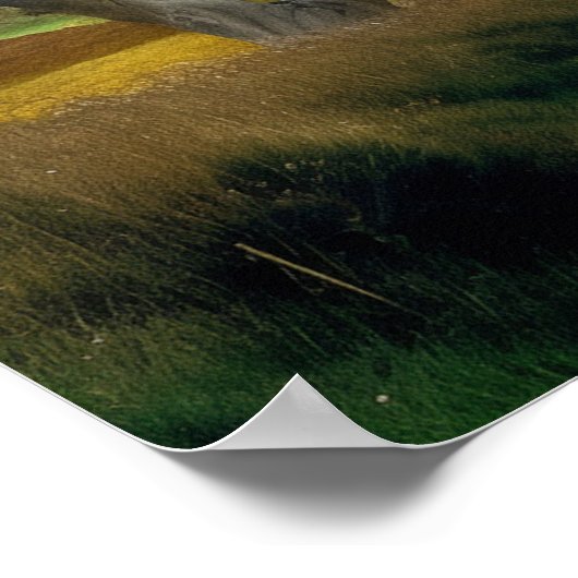 Eine kurvenreiche Landstraße Poster (Ecke)