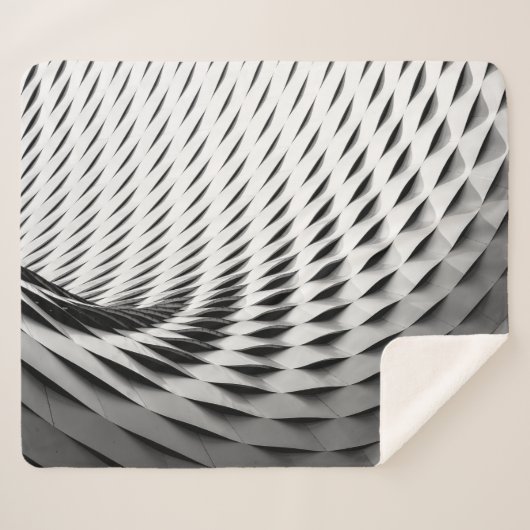 EINE KURVIERTE FASSADE, DIE IN DER WEISSEN LATTICE SHERPADECKE (Vorderseite (Horizontal))