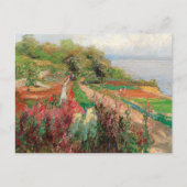 Eine Küstenlandschaft | Olga Wisinger-Florian Postkarte (Vorderseite)