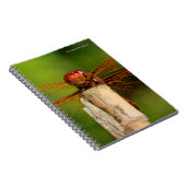 Eine lächelnde rote Libelle Notizblock (Rechte Seite)