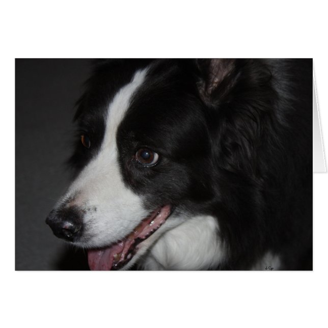 Eine Lady (Vorderseite (Horizontal))