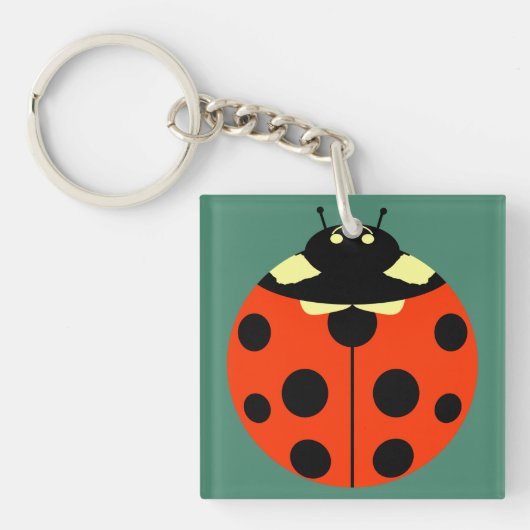 Eine Ladybug Schlüsselanhänger (Vorderseite)