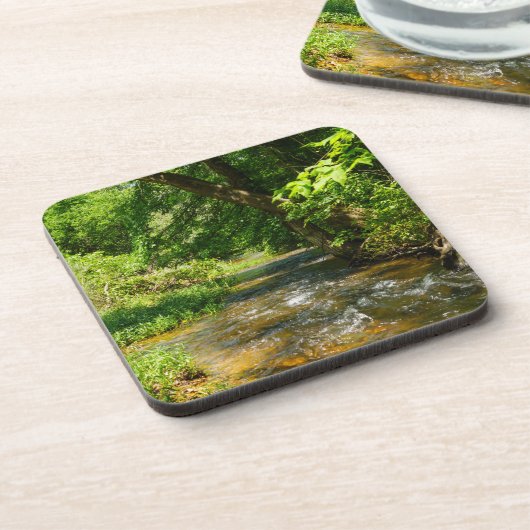 Eine Landkrebse Getränkeuntersetzer (Linke Seite)