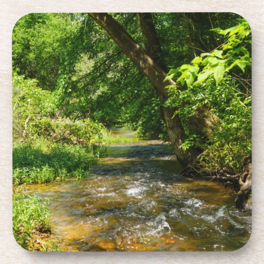 Eine Landkrebse Getränkeuntersetzer (Vorderseite)