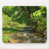 Eine Landkrebse Mousepad (Vorne)