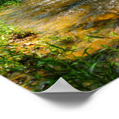 Eine Landkrebse Poster (Ecke)