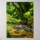 Eine Landkrebse Poster (Vorne)