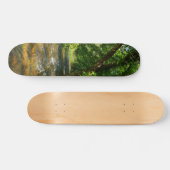 Eine Landkrebse Skateboard (Horizontal)