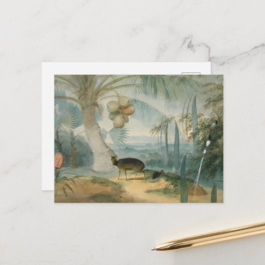 Eine Landschaft in Ceylon von Samuel Daniell Postkarte (Vorderseite/Rückseite Beispiel)