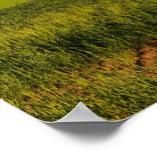 Eine landschaftliche Aussicht auf eine Scheune in Poster (Ecke)