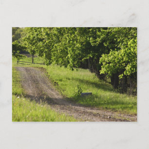 Eine Landstraße in Ipswich, Massachusetts. Postkarte