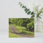 Eine Landstraße in Ipswich, Massachusetts. Postkarte (Stehend Vorderseite)