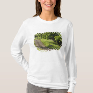 Eine Landstraße in Ipswich, Massachusetts T-Shirt