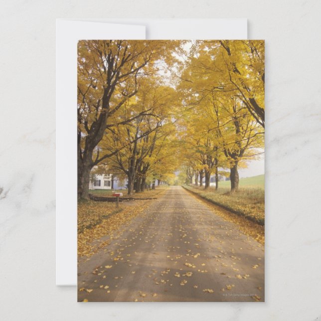 Eine Landstraße in Peacham (Vorderseite)