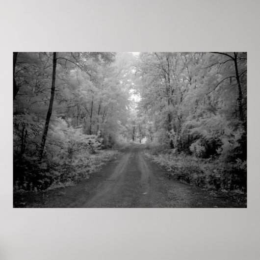 Eine Landstraße Poster (Vorne)