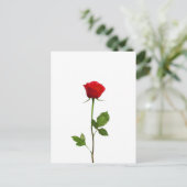 EINE LANGSTÄNDIGE ROTE ROSE POSTKARTE (Stehend Vorderseite)
