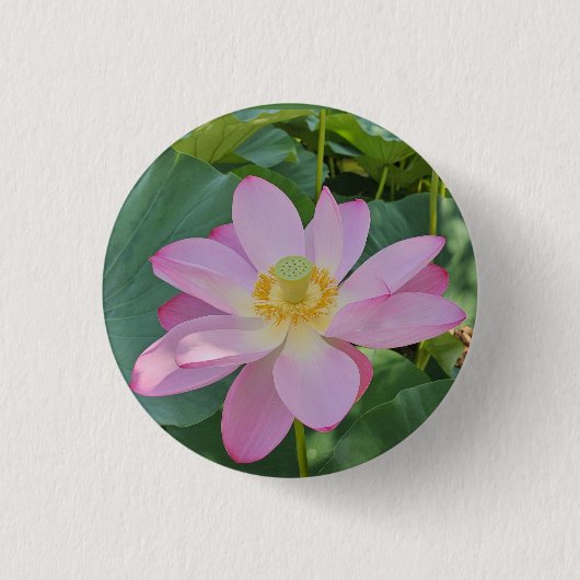 Eine lebendige Lotus-Blume Button (Vorderseite)