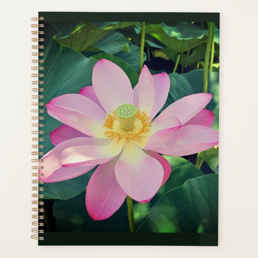Eine lebendige Lotus-Blume Planer (Vorderseite)