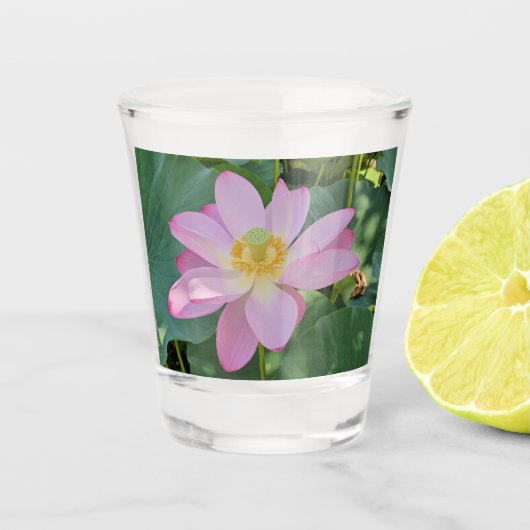 Eine lebendige Lotus-Blume Schnapsglas (Vorderseite)