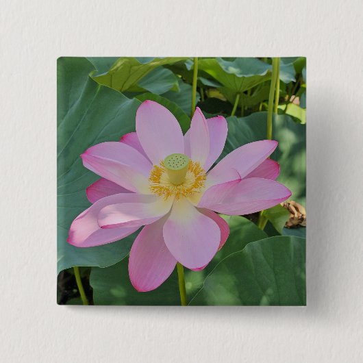 Eine lebendige Lotusblüte Button (Vorderseite)