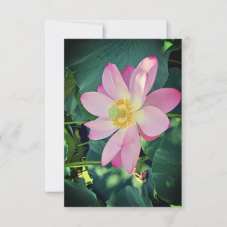 Eine lebendige Lotusblüte RSVP Karte