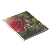 Eine lebendige rote Rose, die Liebe und Leidenscha Notizblock (angewinkelt)