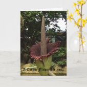 Eine Leichen-Blume für Sie. Karte (Gelbe Blume)