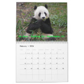 Eine Leidenschaft für Pandas! , tragen 2009, Pho… Kalender (Feb 2026)