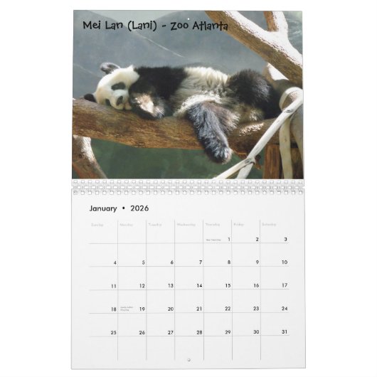 Eine Leidenschaft für Pandas! , tragen 2009, Pho… Kalender (Jan 2026)