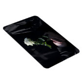 Eine letzte Rose Magnet (Rechte Seite)