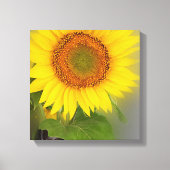 eine leuchtende Sonnenblume Leinwanddruck (Vorderseite)