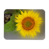 eine leuchtende Sonnenblume Magnet (Horizontal)