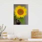 eine leuchtende Sonnenblume Poster (Küche)