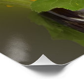 eine leuchtende Sonnenblume Poster (Ecke)