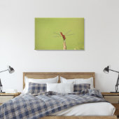 Eine Libelle-Erholung auf einem getrockneten Unkra Leinwanddruck (Insitu (Schlafzimmer))
